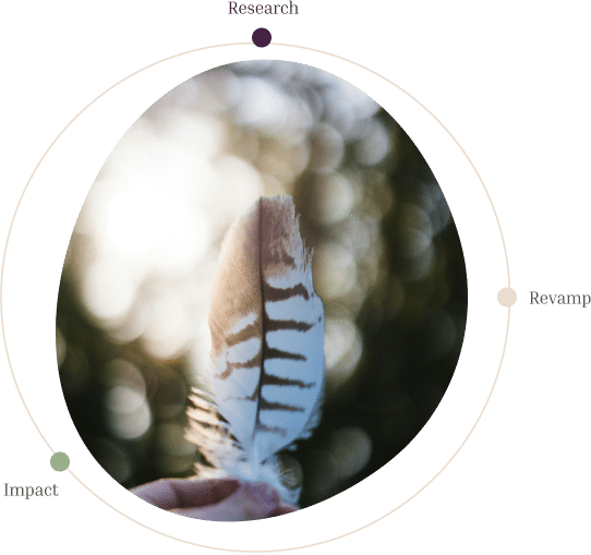 Abstract image of a feather and the words Research Revamp and Impact representing the future aims of Radical Forgiveness
