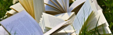 Open books lying on grass