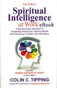 Book Cover for Spiritual Intelligence at Work by Colin Tipping